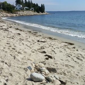 Meet your Posher, Colette